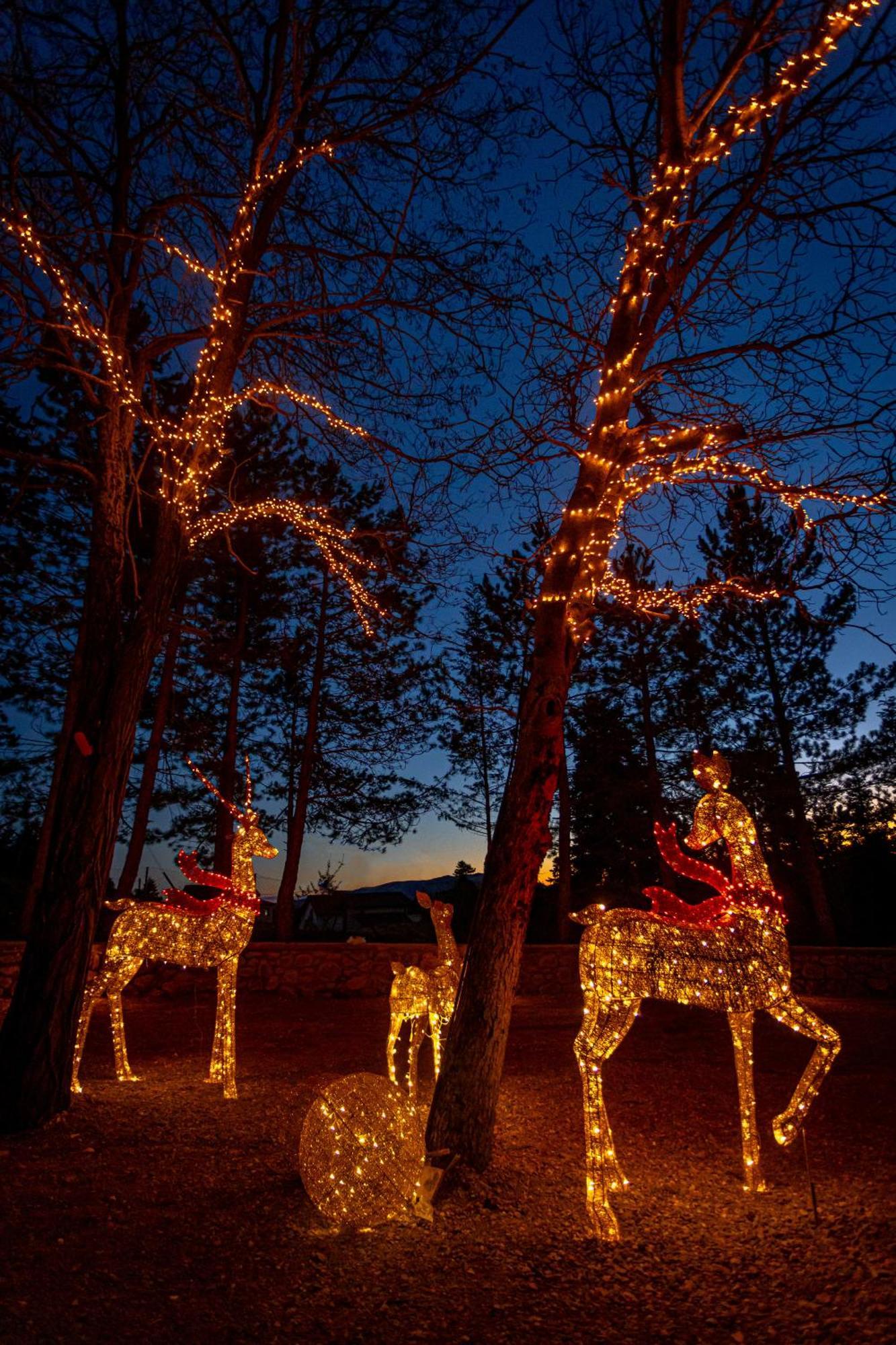 Mz Reindeer Hotell Kalívia Exteriör bild